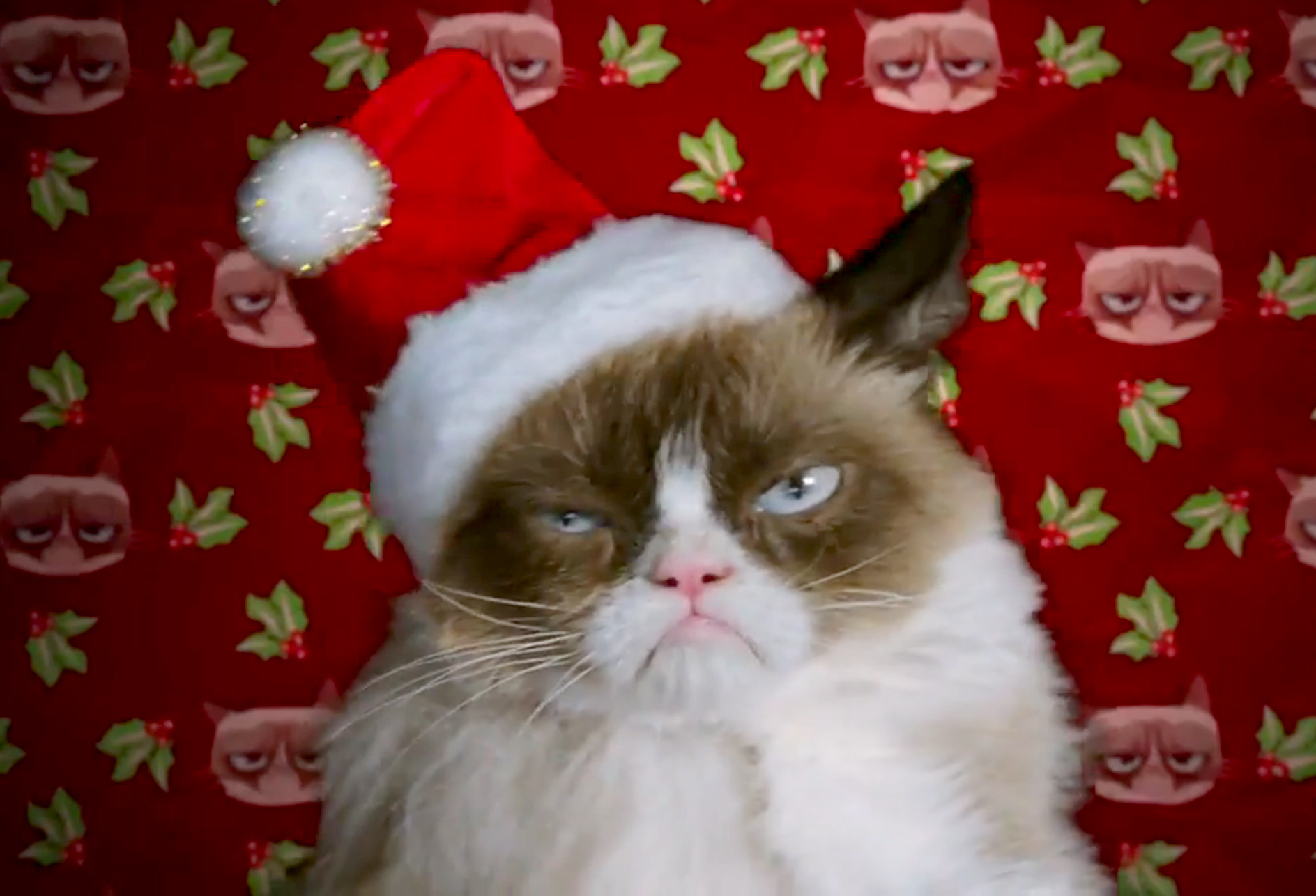 grumpy-cat-christmas.jpg.jpg
