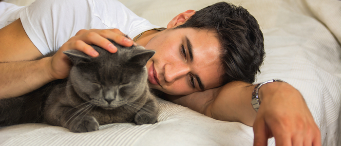 Mehr Informationen zu "Three Boys and a Cat - Eifersucht!"