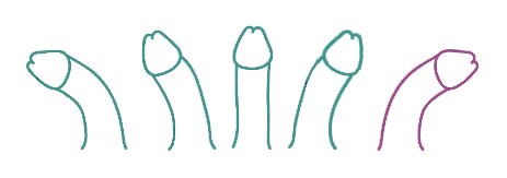 Gib deine Maße an - Dein Penis in deinem Gay.de Profil