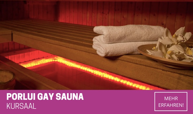 PorluiGaySauna.jpg