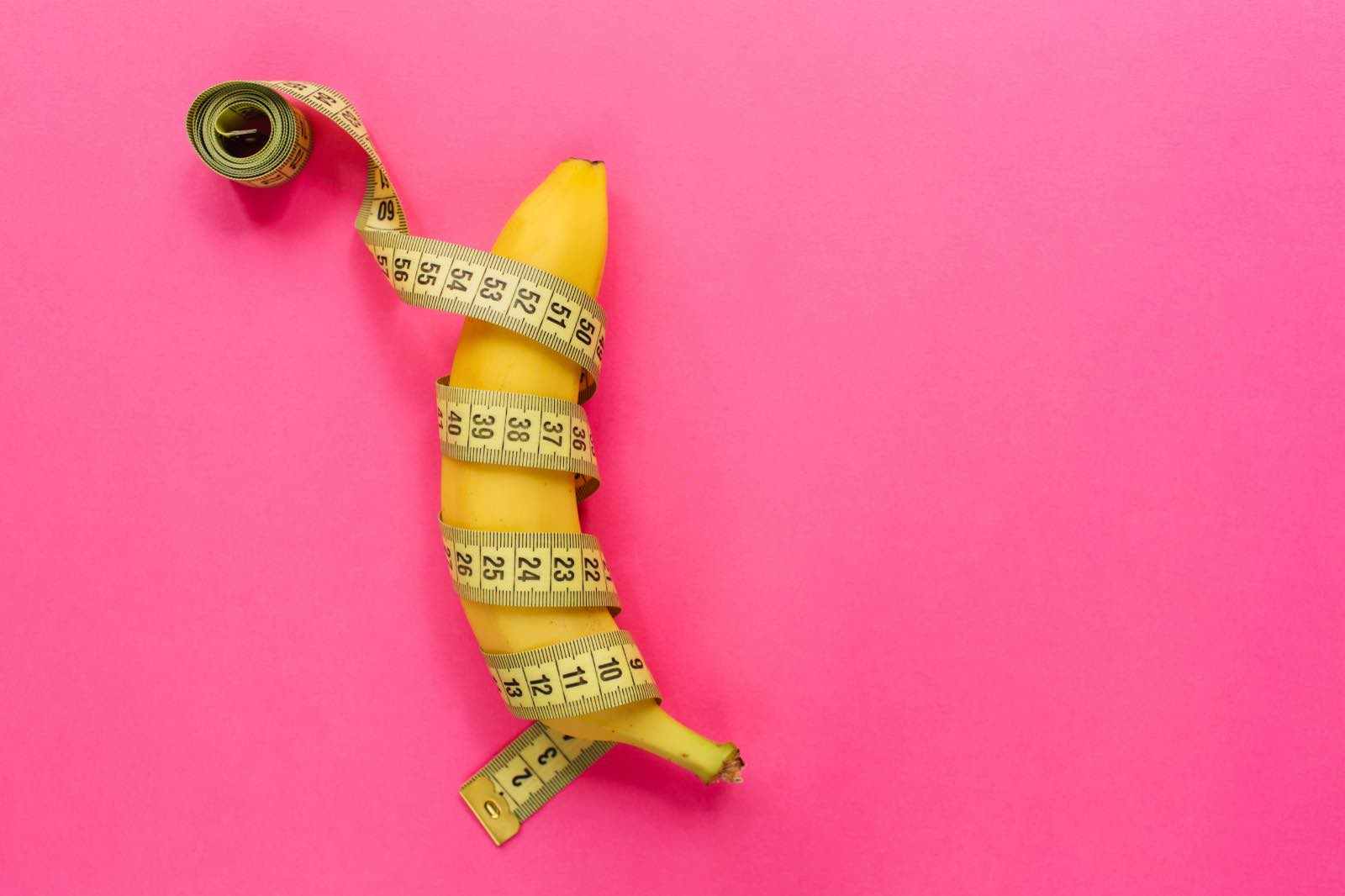 Mehr Informationen zu "Wie schwanzgesteuert sind wir wirklich?"